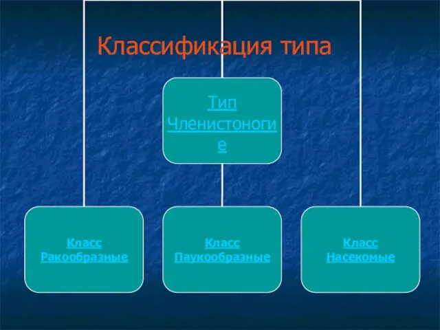 Классификация типа