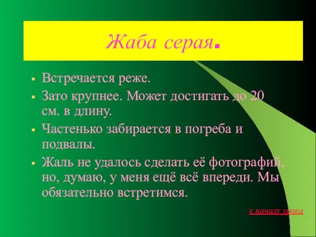 Жаба серая. Встречается реже. Зато крупнее. Может достигать до 20 см.