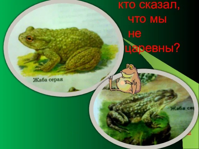 кто сказал, что мы не царевны?