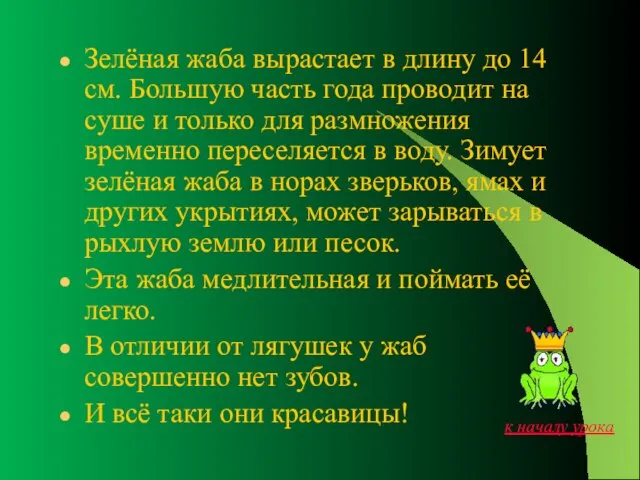 Зелёная жаба вырастает в длину до 14 см. Большую часть года