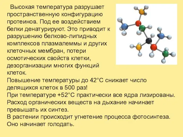 Высокая температура разрушает пространственную конфигурацию протеинов. Под ее воздействием белки денатурируют.