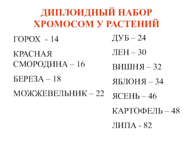 ДИПЛОИДНЫЙ НАБОР ХРОМОСОМ У РАСТЕНИЙ ГОРОХ - 14 КРАСНАЯ СМОРОДИНА –