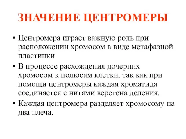 ЗНАЧЕНИЕ ЦЕНТРОМЕРЫ Центромера играет важную роль при расположении хромосом в виде