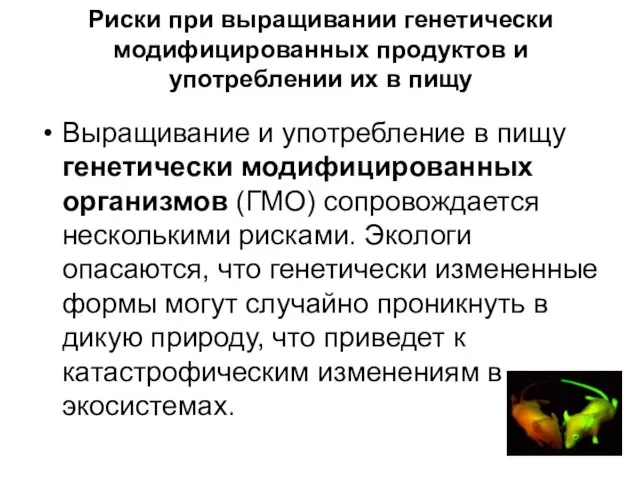 Риски при выращивании генетически модифицированных продуктов и употреблении их в пищу