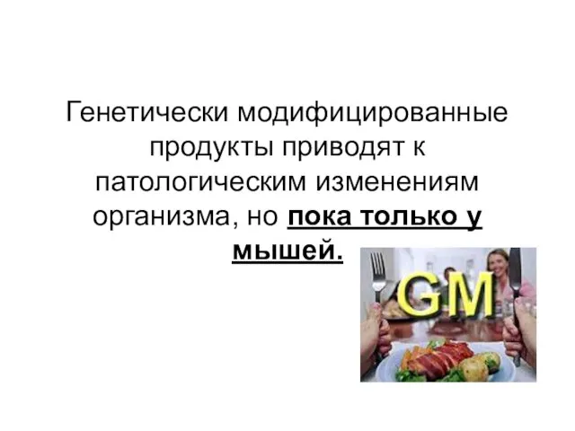 Генетически модифицированные продукты приводят к патологическим изменениям организма, но пока только у мышей.