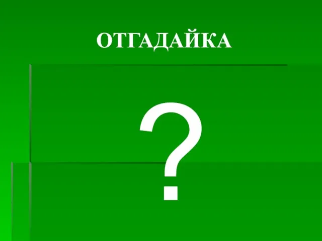 ОТГАДАЙКА ?