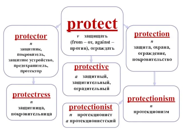 protectress n защитница, покровительница protectionism n протекционизм protection n защита, охрана,