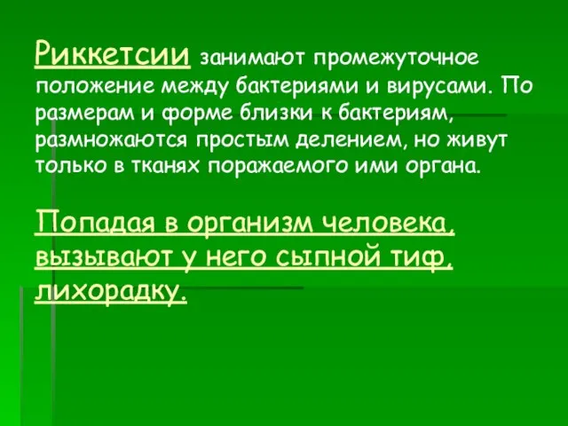 Риккетсии занимают промежуточное положение между бактериями и вирусами. По размерам и