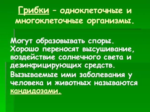 Грибки – одноклеточные и многоклеточные организмы. Могут образовывать споры. Хорошо переносят