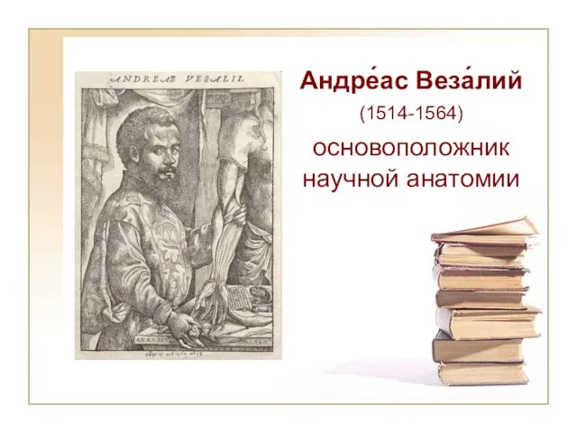 Андре́ас Веза́лий (1514-1564) основоположник научной анатомии