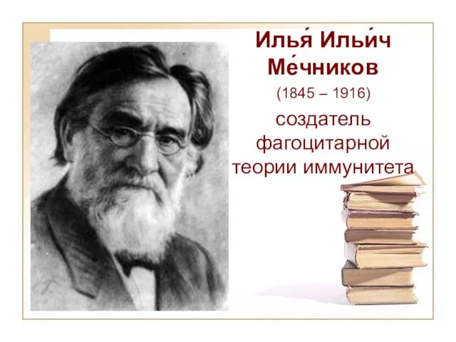 Илья́ Ильи́ч Ме́чников (1845 – 1916) создатель фагоцитарной теории иммунитета