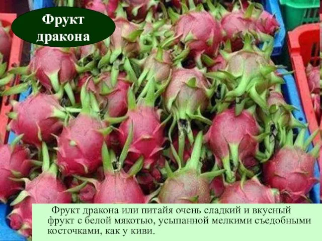 Фрукт дракона Фрукт дракона или питайя очень сладкий и вкусный фрукт