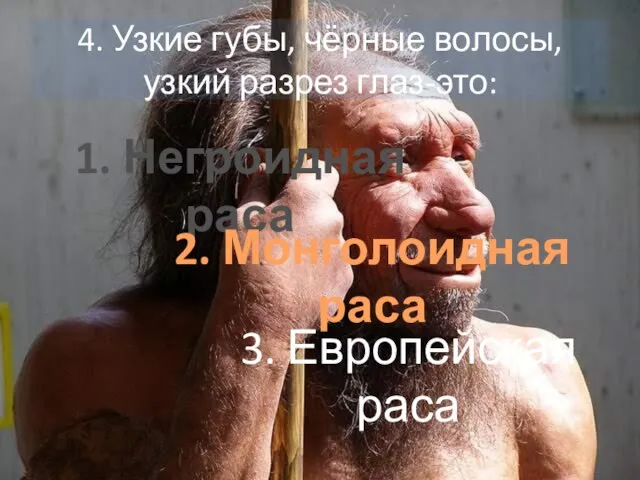 4. Узкие губы, чёрные волосы, узкий разрез глаз-это: 1. Негроидная раса