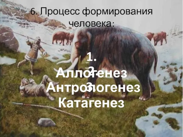 6. Процесс формирования человека: 1. Аллогенез 2. Антропогенез 3. Катагенез