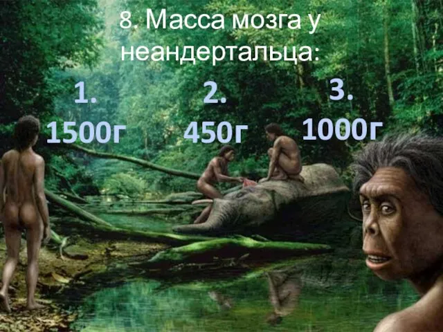 8. Масса мозга у неандертальца: 1. 1500г 2. 450г 3. 1000г