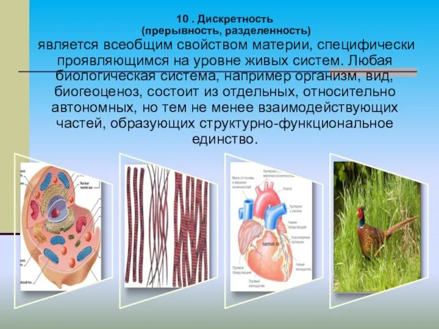 10 . Дискретность (прерывность, разделенность) является всеобщим свойством материи, специфически проявляющимся