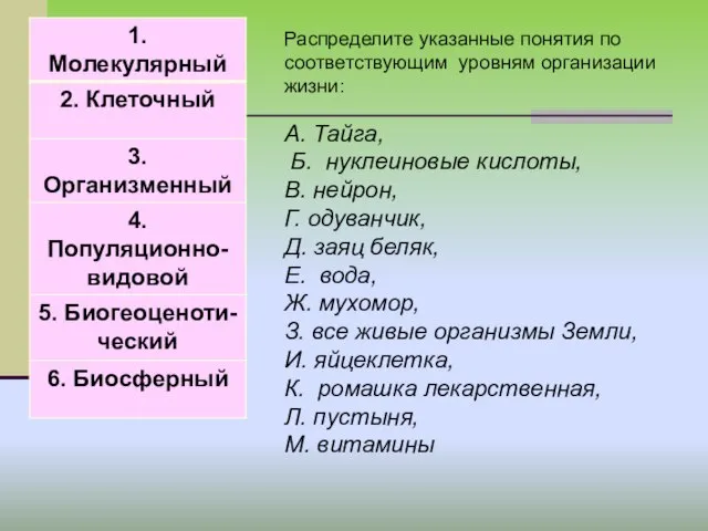 Распределите указанные понятия по соответствующим уровням организации жизни: А. Тайга, Б.