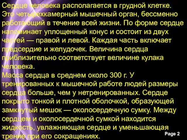 Сердце человека располагается в грудной клетке. Это четырехкамерный мышечный орган, бессменно