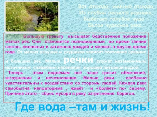 Вот отсюда, именно отсюда, Из глубин лесного родника, Выбегает голубое чудо