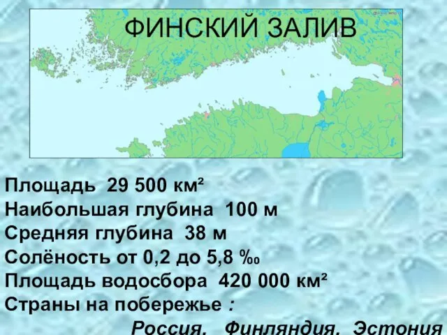 ФИНСКИЙ ЗАЛИВ Площадь 29 500 км² Наибольшая глубина 100 м Средняя