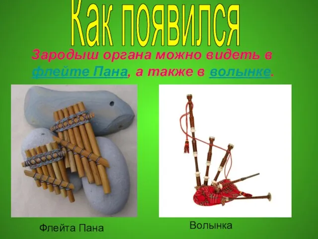 Зародыш органа можно видеть в флейте Пана, а также в волынке. Как появился Флейта Пана Волынка