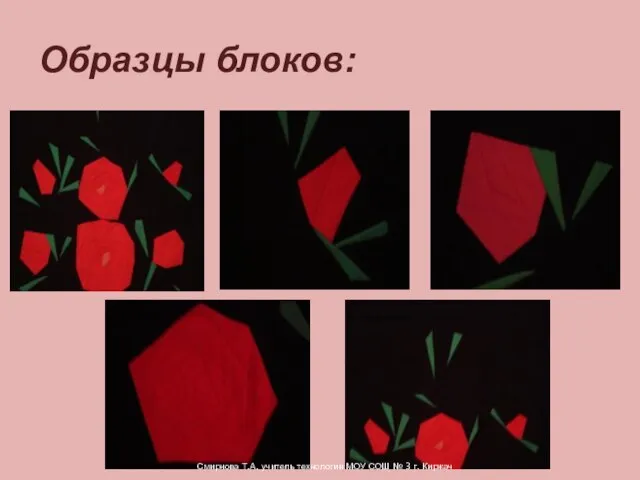 Образцы блоков: Смирнова Т.А. учитель технологии МОУ СОШ № 3 г. Киржач