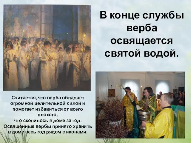 В конце службы верба освящается святой водой. Считается, что верба обладает