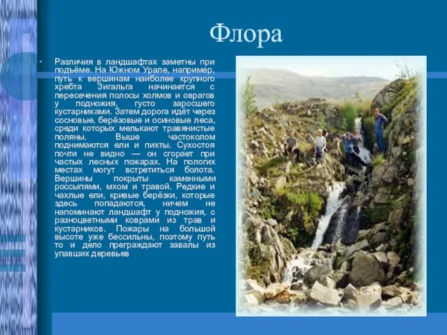 Флора Различия в ландшафтах заметны при подъёме. На Южном Урале, например,