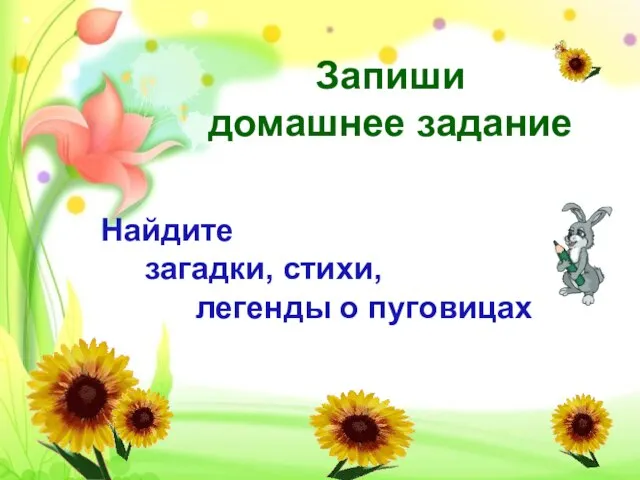 Запиши домашнее задание Найдите загадки, стихи, легенды о пуговицах