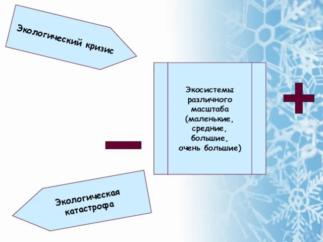 Экологический кризис Экосистемы различного масштаба (маленькие, средние, большие, очень большие) Экологическая катастрофа