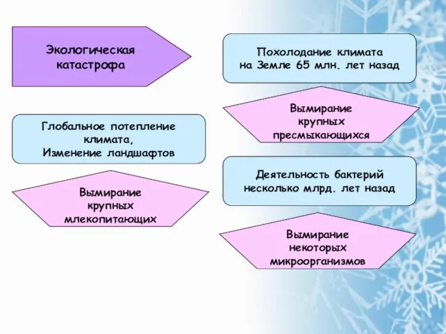 Экологическая катастрофа Похолодание климата на Земле 65 млн. лет назад Деятельность