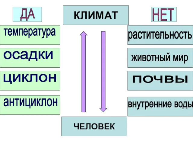 температура осадки циклон антициклон растительность животный мир почвы внутренние воды КЛИМАТ ДА НЕТ ЧЕЛОВЕК