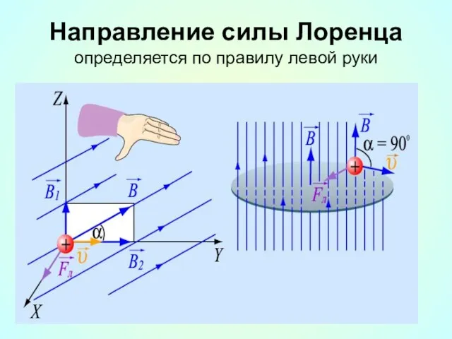 Направление силы Лоренца определяется по правилу левой руки