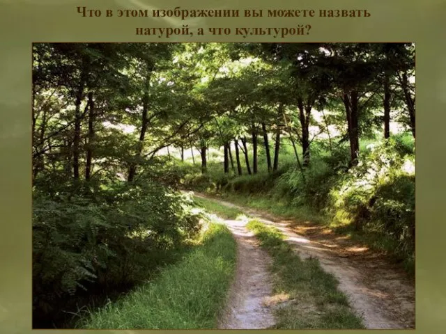 Что в этом изображении вы можете назвать натурой, а что культурой?