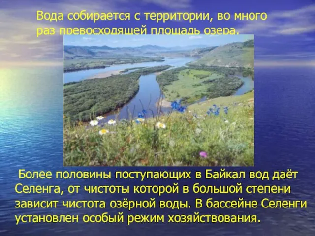 Вода собирается с территории, во много раз превосходящей площадь озера. Более