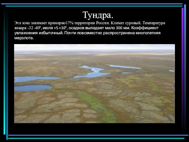 Тундра. Эта зона занимает примерно17% территории России. Климат суровый. Температура января