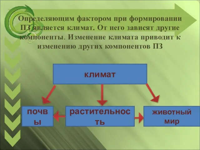 Определяющим фактором при формировании ПЗ является климат. От него зависят другие