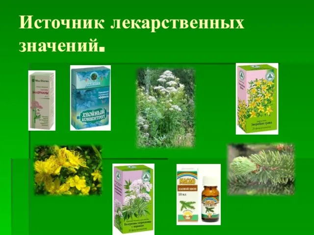 Источник лекарственных значений.