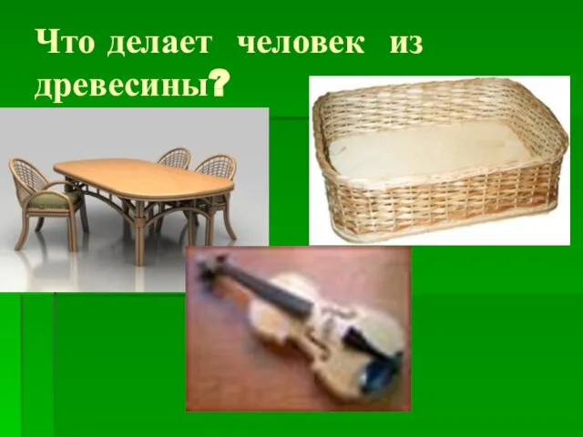 Что делает человек из древесины?