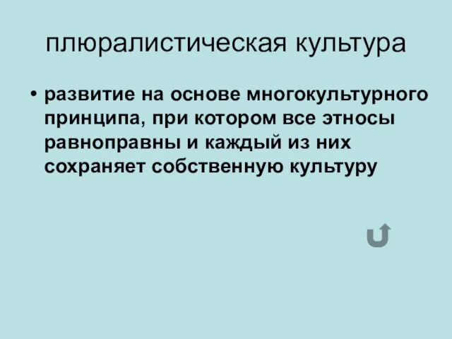 плюралистическая культура развитие на основе многокультурного принципа, при котором все этносы