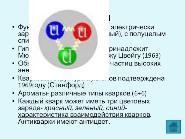 Кварки Фундаментальные частицы, электрически заряженные частицы (дробный), с полуцелым спином (фермионы)