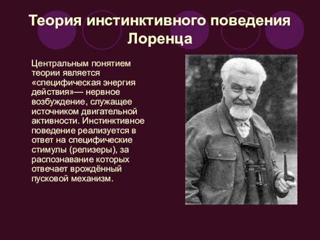 Теория инстинктивного поведения Лоренца Центральным понятием теории является «специфическая энергия действия»—