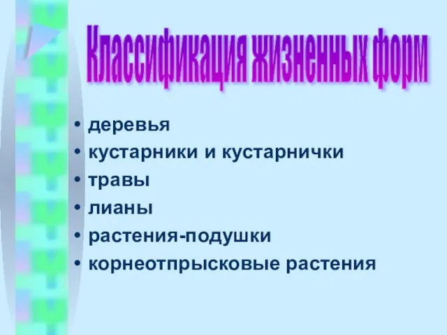 деревья кустарники и кустарнички травы лианы растения-подушки корнеотпрысковые растения Классификация жизненных форм