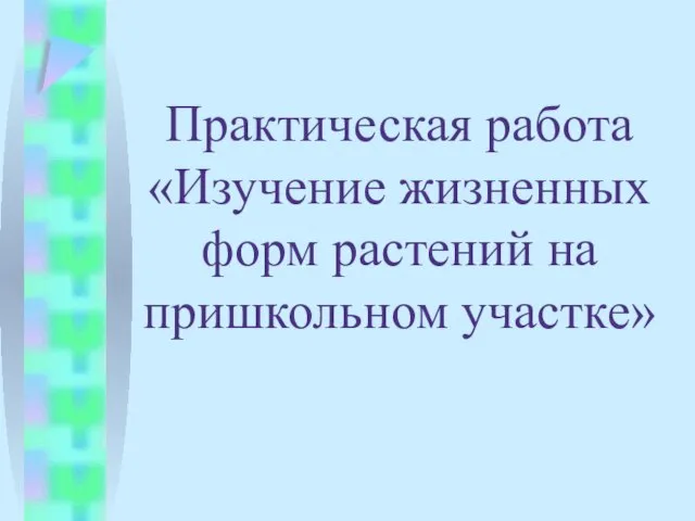 Практическая работа «Изучение жизненных форм растений на пришкольном участке»