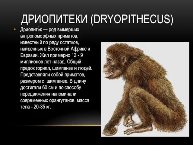 ДРИОПИТЕКИ (DRYOPITHECUS) Дриопите́к — род вымерших антропоморфных приматов, известный по ряду