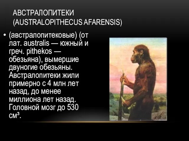 АВСТРАЛОПИТЕКИ (AUSTRALOPITHECUS AFARENSIS) (австралопитековые) (от лат. australis — южный и греч.