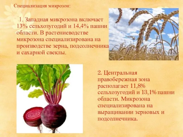 Специализация микрозон: 1. Западная микрозона включает 13% сельхозугодий и 14,4% пашни