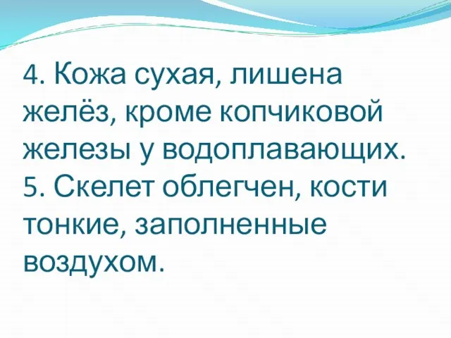 4. Кожа сухая, лишена желёз, кроме копчиковой железы у водоплавающих. 5.