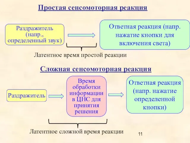 Простая сенсомоторная реакция Раздражитель (напр., определенный звук) Ответная реакция (напр. нажатие