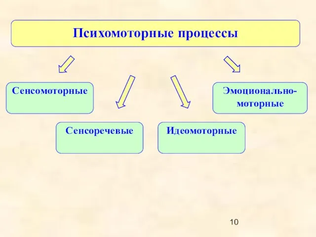 Психомоторные процессы Эмоционально-моторные Сенсомоторные Сенсоречевые Идеомоторные